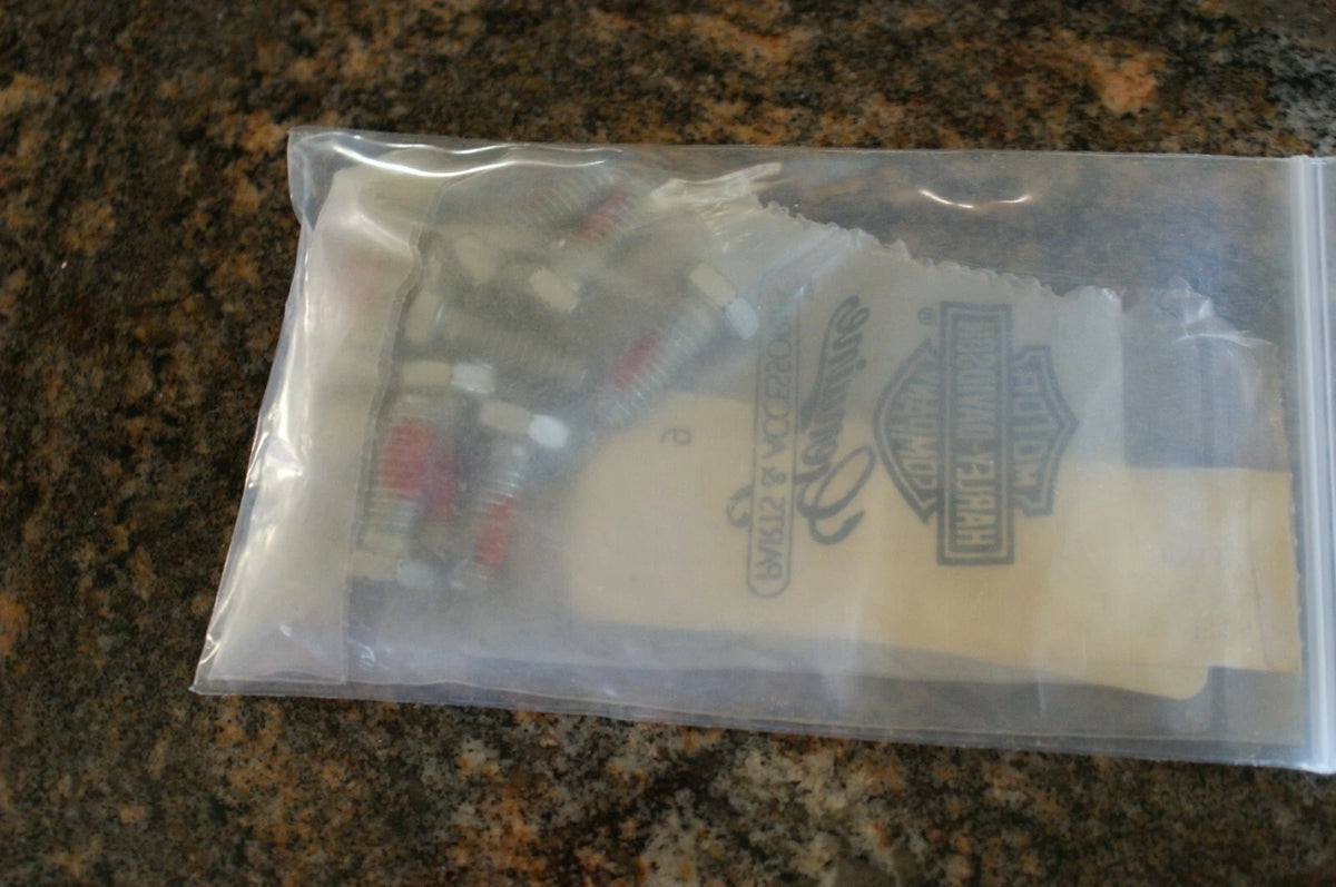10 NOS Harley Davidson Screw Grab bag swap meet goodies 4702 U get 10 pieces!