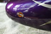 OEM Harley Davidson Touring Numbered 110/200 Radical paint tank & Fenders