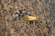 Kennametal Carbide Milling Inserts EDPT180564PDSRGD KCSM40 ONE PIECE
