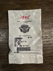 NOS Harley Davidson Torx Screw 10200060