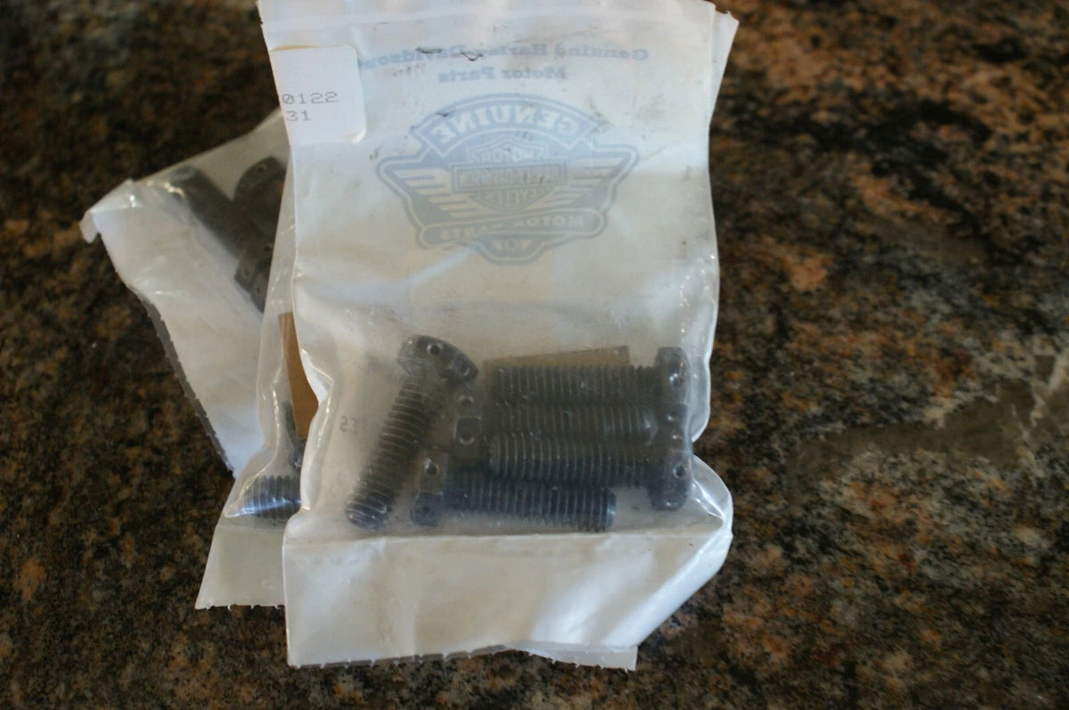 13 NOS Harley Davidson Screw Grab bag swap meet goodies 4026 U get 13 pieces!
