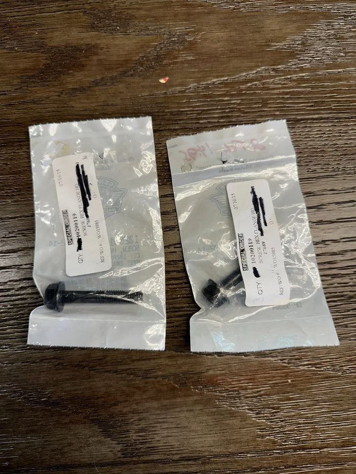 Lot Of 2 NOS Harley Davidson HD Hex Flange Screw 10200119