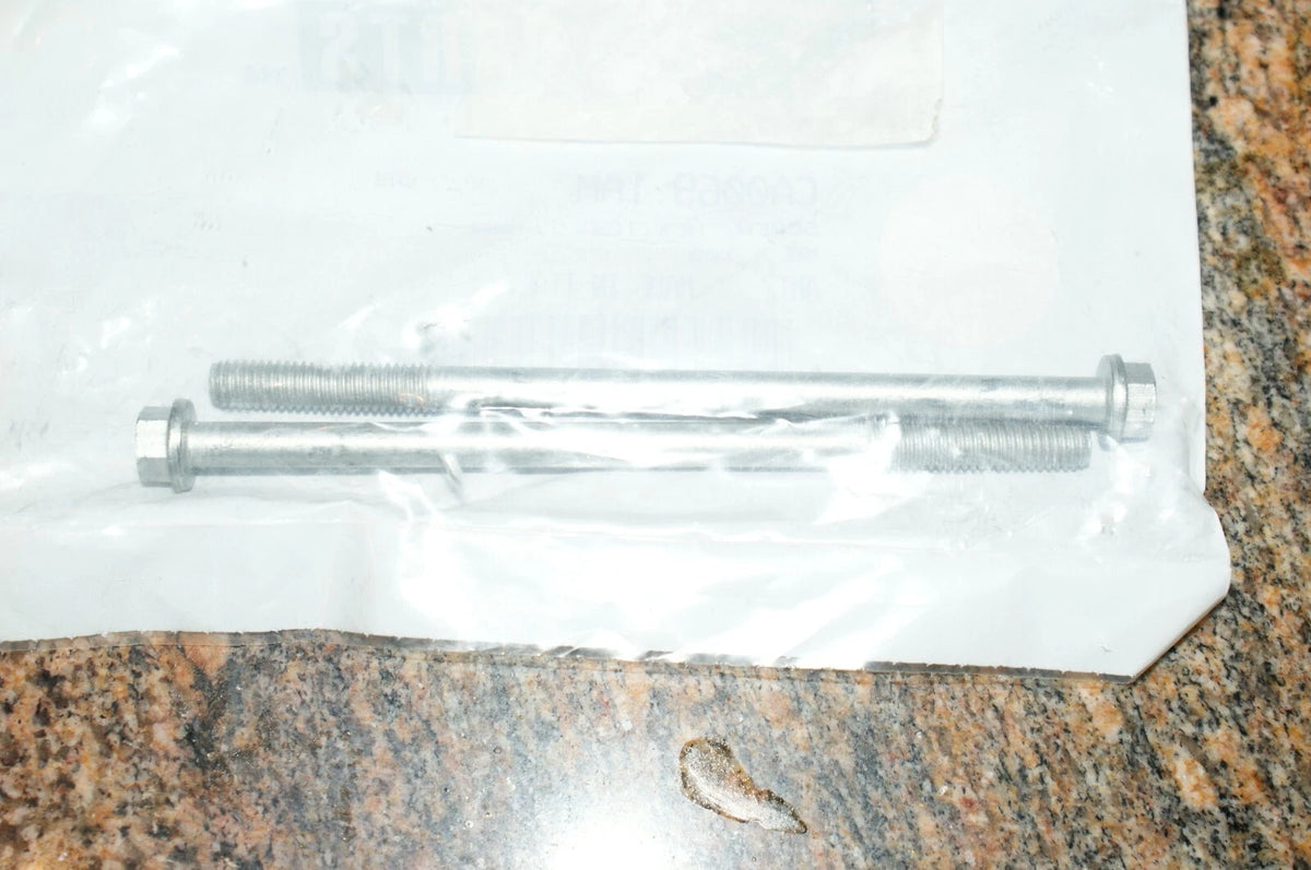 NOS HARLEY-DAVIDSON BUELL Screw CA0069.1AM U GET 2 screws